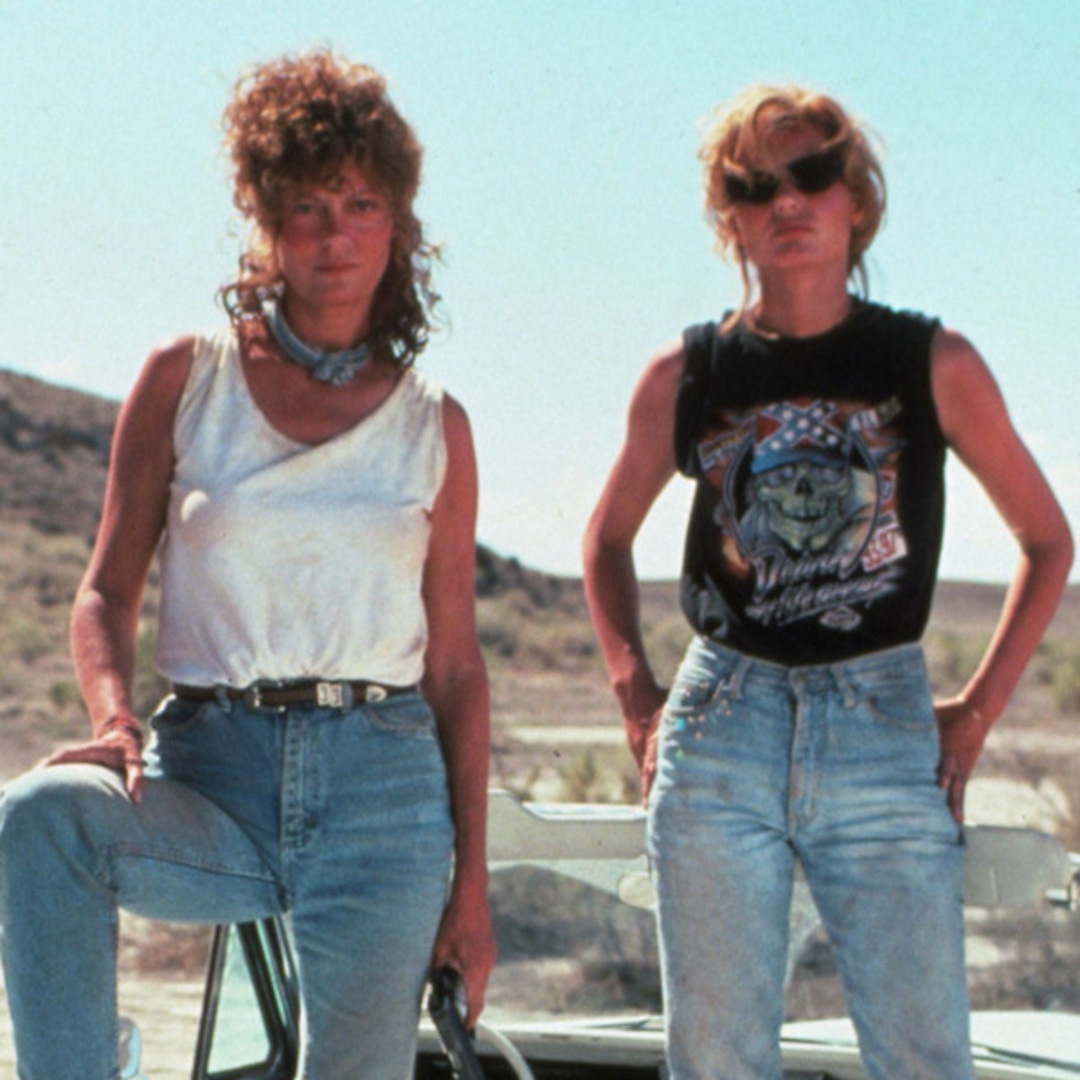 Susan Sarandon Says She Turned Down “Huge Verify” for This Baffling Thelma & Louise Sequel Thought – E! On-line